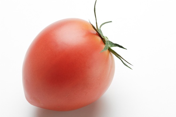 ̥ȥޥ вڡfd400508