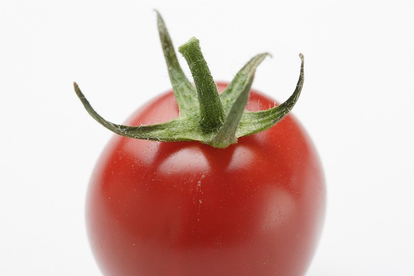 ץȥޥ вڡfd400527