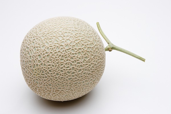  ޥ ե롼ġfd400800