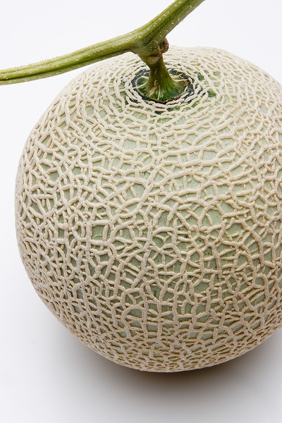  ޥ ǥȡfd400804