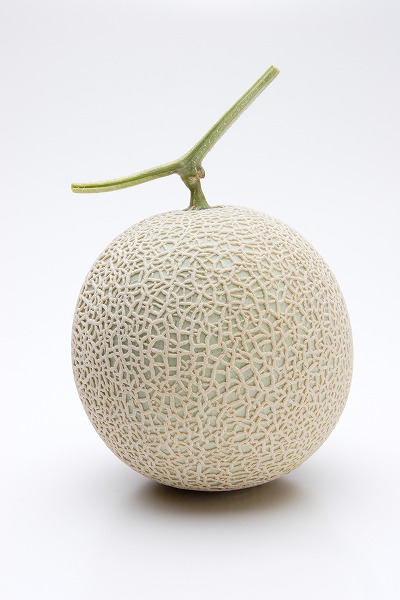  ޥ ǥȡfd400810