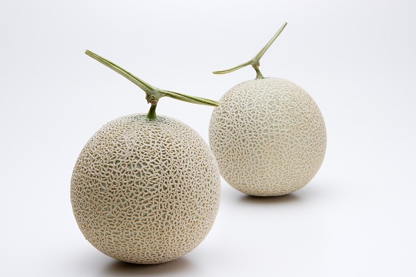 ޥ 2 ǥȡfd400814