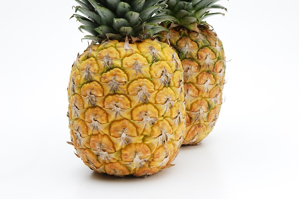 ѥʥåץ 2 ǥȡfd400918