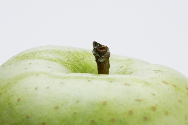 ĥ Ӹ Applefd401020