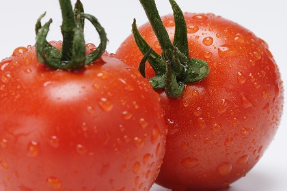 トマトのフリー素材・無料写真素材