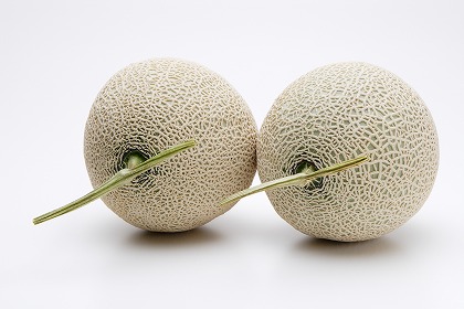 ޥ 2 ǥ fd400819