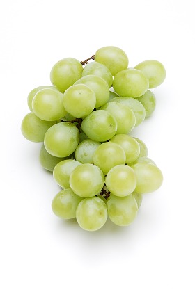 ͥޥå ƺ ˼ fd400929