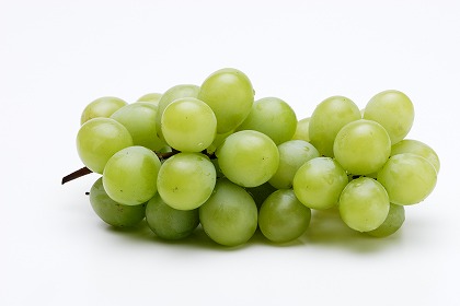 ޥå ͥޥå ˼ fd400930